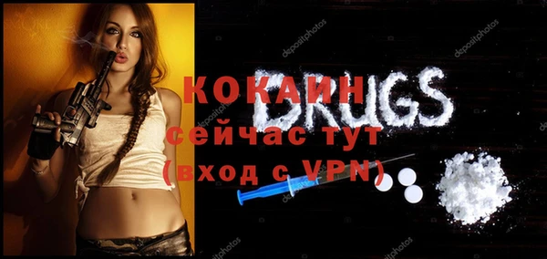 хмурый Алзамай