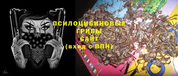 PSILOCYBIN Алексеевка