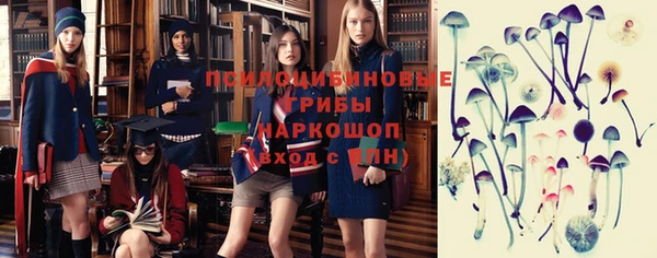хмурый Алзамай