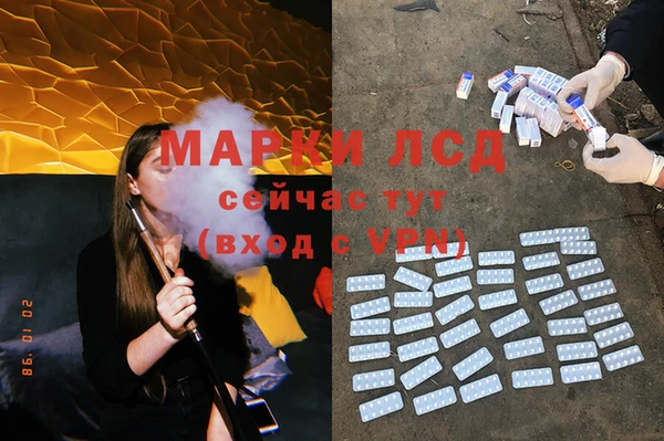 хмурый Алзамай