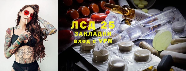 хмурый Алзамай