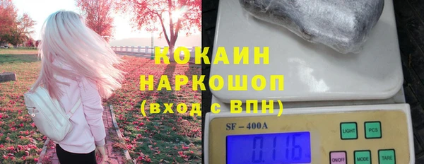 хмурый Алзамай