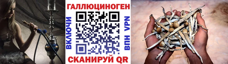 Галлюциногенные грибы Cubensis Тара