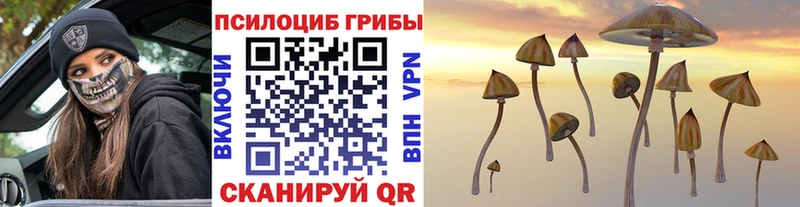 мега рабочий сайт  Тара  Галлюциногенные грибы прущие грибы 